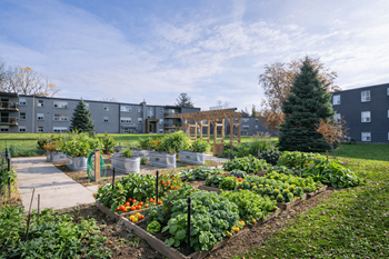 Blue spruce community garden